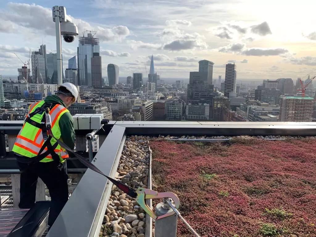 London webcam install karl