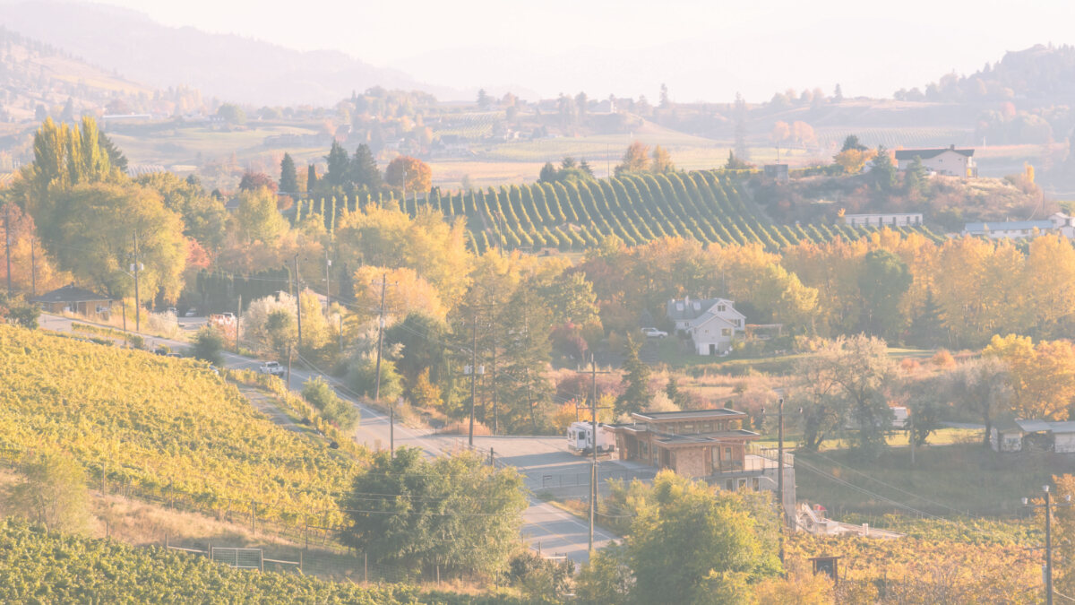 Autumn valley with vineyards, golden trees, houses, and a winding road under a hazy sky.